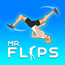 Play Mr. Flip now!