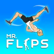 Mr. Flip game Play Mr. Flip game